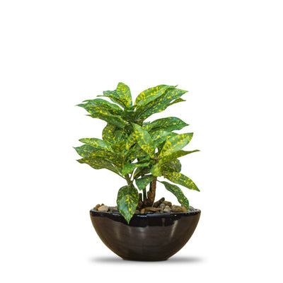 Indoor decorative plant by Home 360