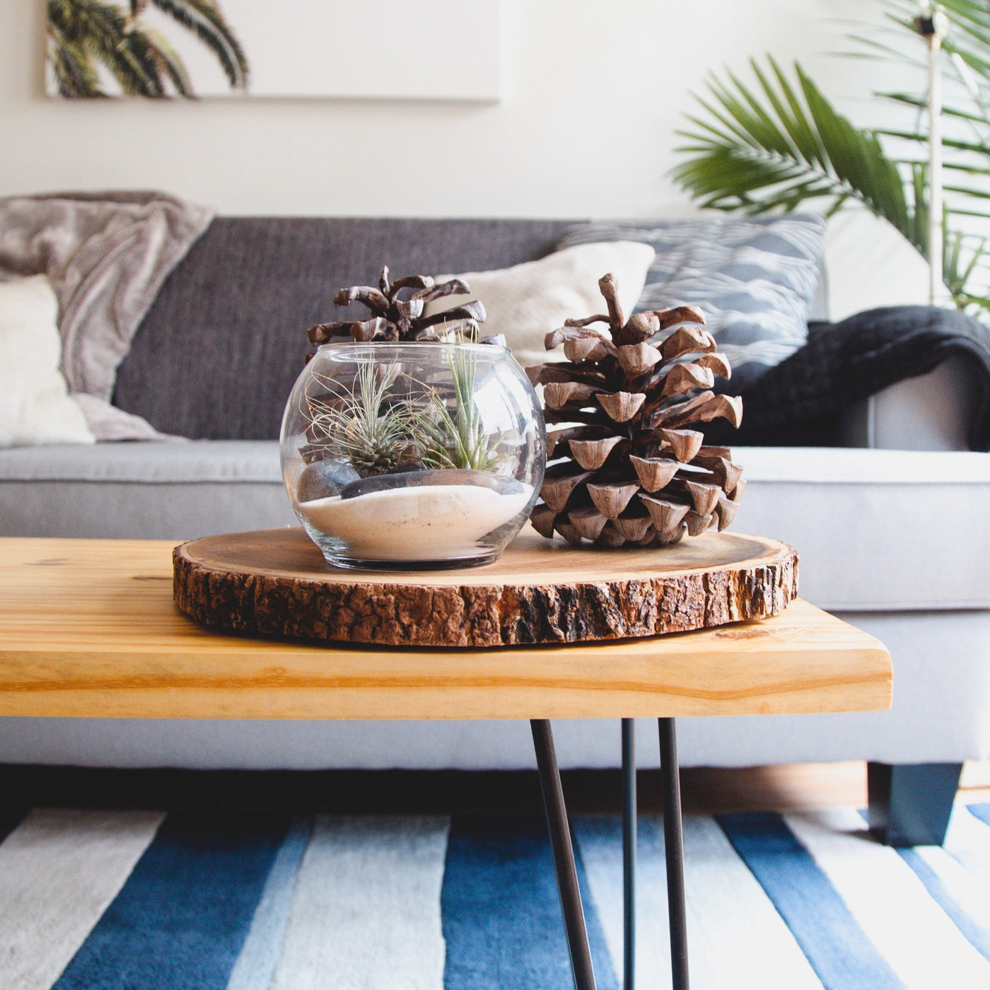 4 Exquisite and Trendy Colour Palettes For Your Interior Space