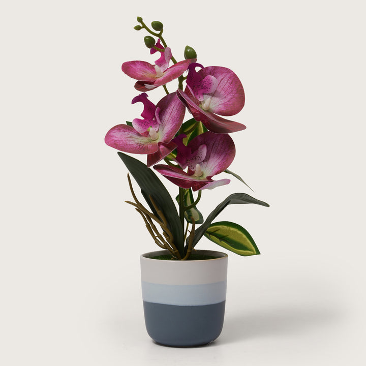 Pink Orchid Arrangement with Two-Tone Grey Pot