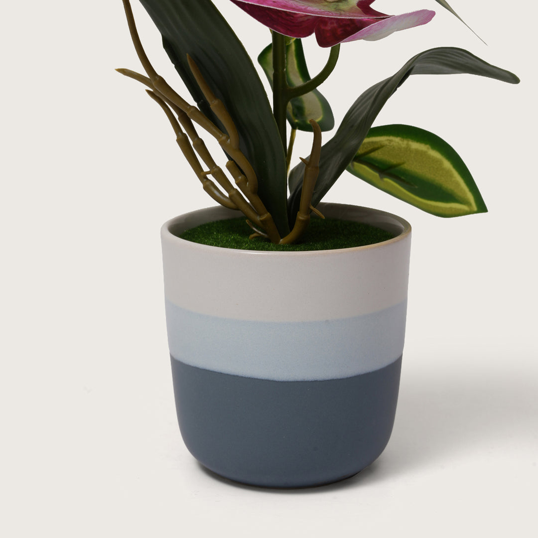 Pink Orchid Arrangement with Two-Tone Grey Pot