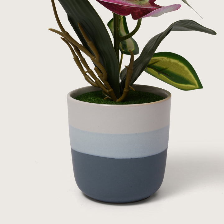 Pink Orchid Arrangement with Two-Tone Grey Pot