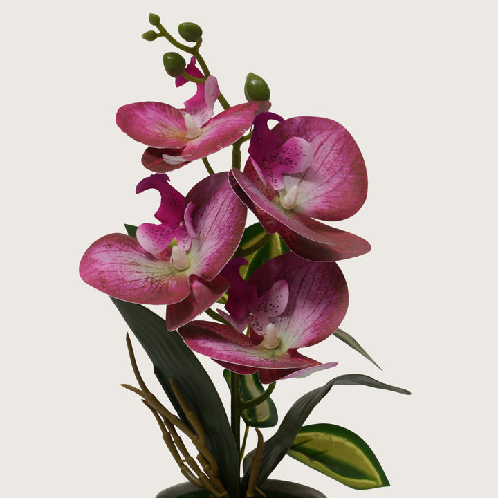 Pink Orchid Arrangement with Two-Tone Grey Pot