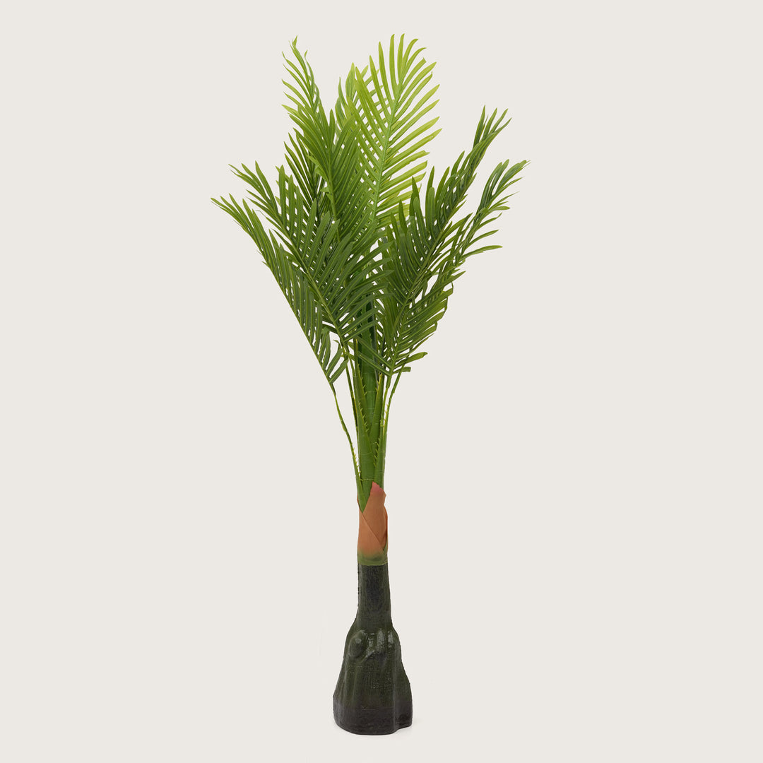 Architectural Tropical Accents in Sleek Contemporary Base