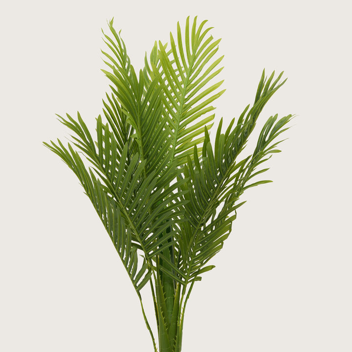 Architectural Tropical Accents in Sleek Contemporary Base