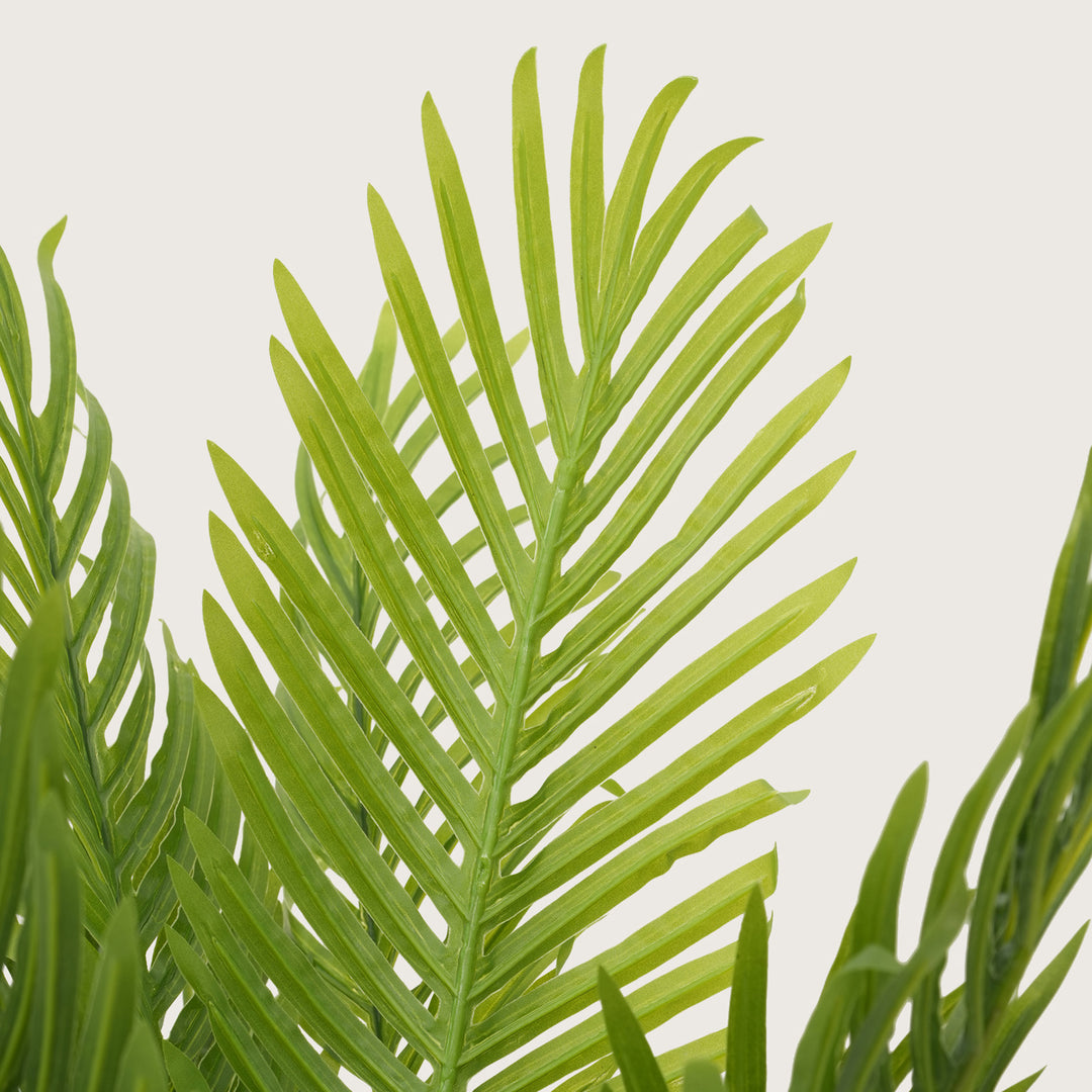 Architectural Tropical Accents in Sleek Contemporary Base