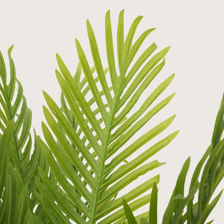 Architectural Tropical Accents in Sleek Contemporary Base