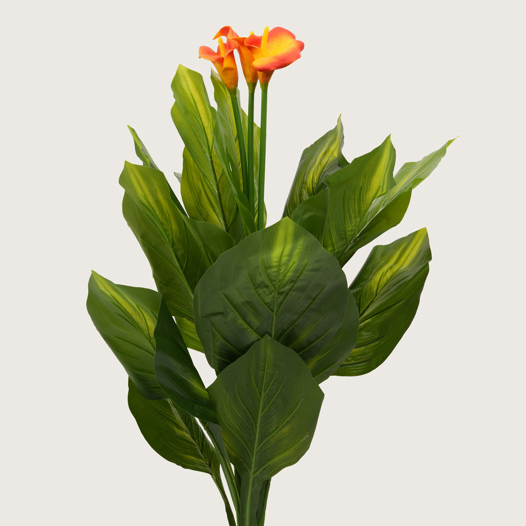 Architectural Botanical Collection — Designer Greenery and Vivid in Contemporary Bases