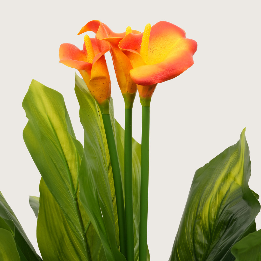 Architectural Botanical Collection — Designer Greenery and Vivid in Contemporary Bases