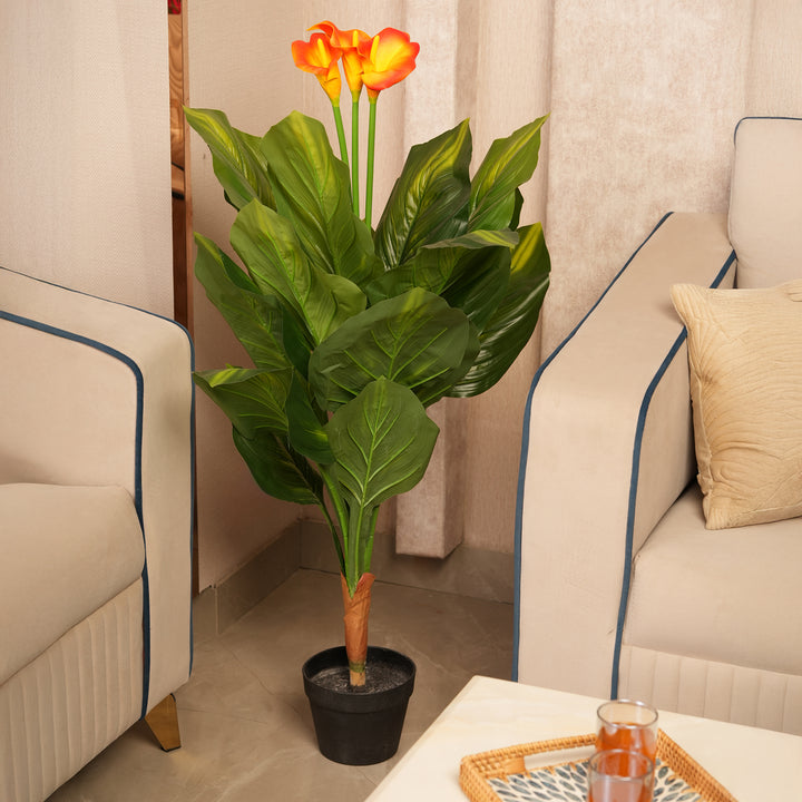 Architectural Botanical Collection — Designer Greenery and Vivid in Contemporary Bases