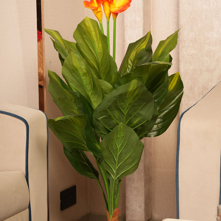 Architectural Botanical Collection — Designer Greenery and Vivid in Contemporary Bases