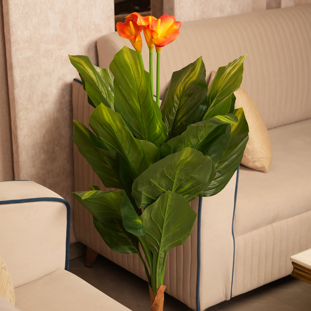 Architectural Botanical Collection — Designer Greenery and Vivid in Contemporary Bases