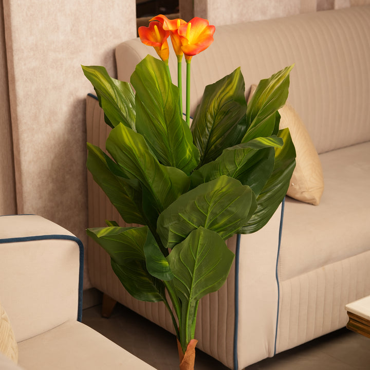 Architectural Botanical Collection — Designer Greenery and Vivid in Contemporary Bases