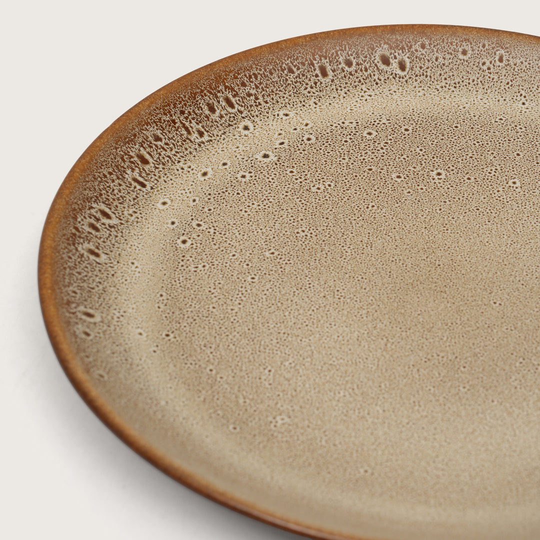 Rustic Earth Toned Ceramic Speckled Quarter Plates Set of 4