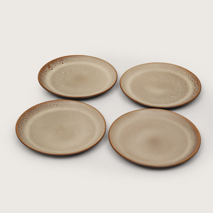 Rustic Earth Toned Ceramic Speckled Full Dinner Plate Set of 4