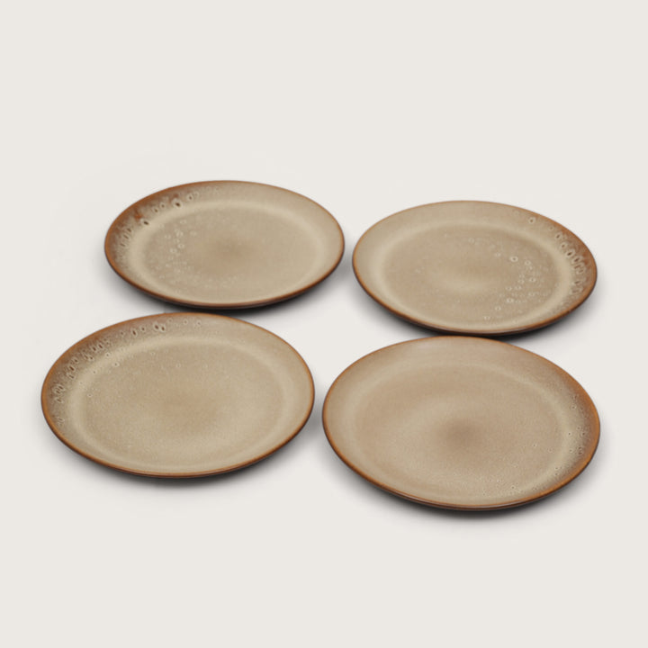 Rustic Earth Toned Ceramic Speckled Quarter Plates Set of 4