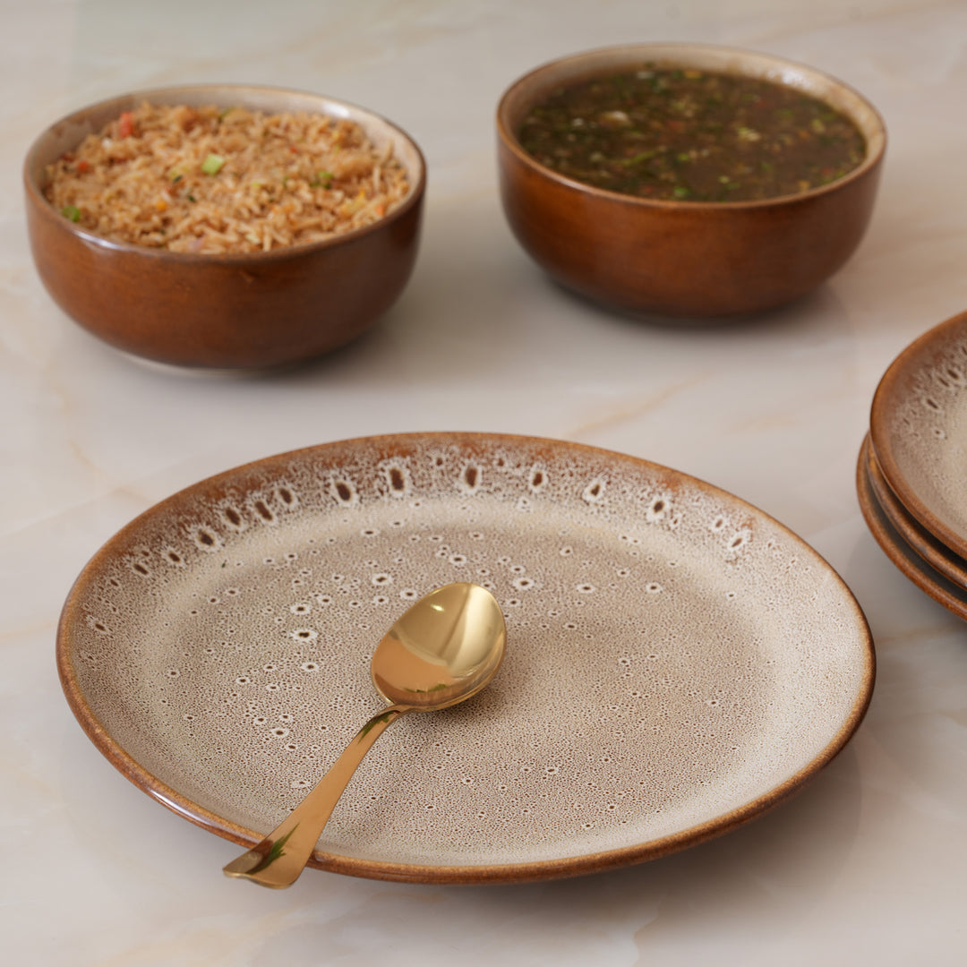 Rustic Earth Toned Ceramic Speckled Full Dinner Plate Set of 4