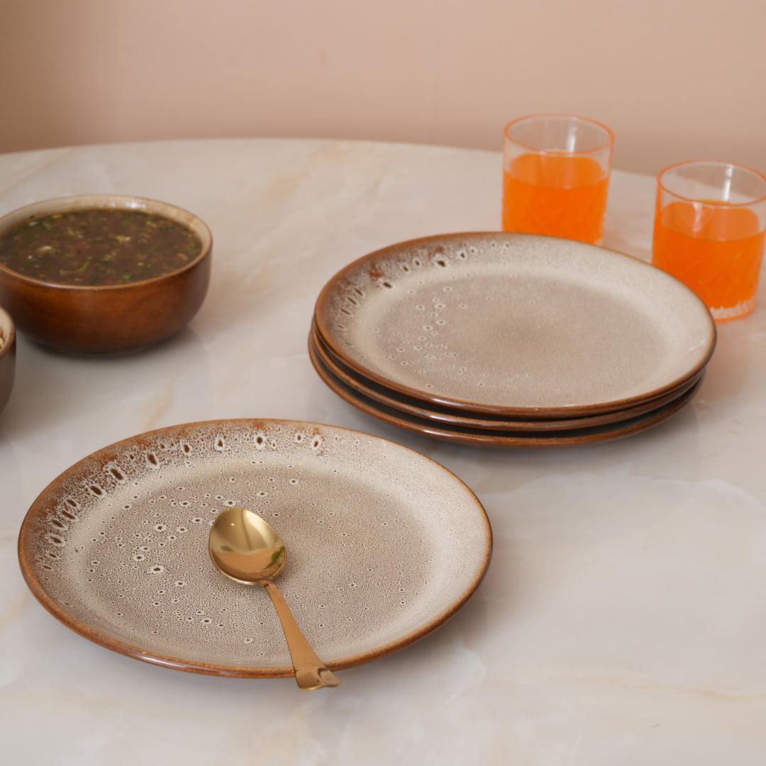 Rustic Earth Toned Ceramic Speckled Full Dinner Plate Set of 4