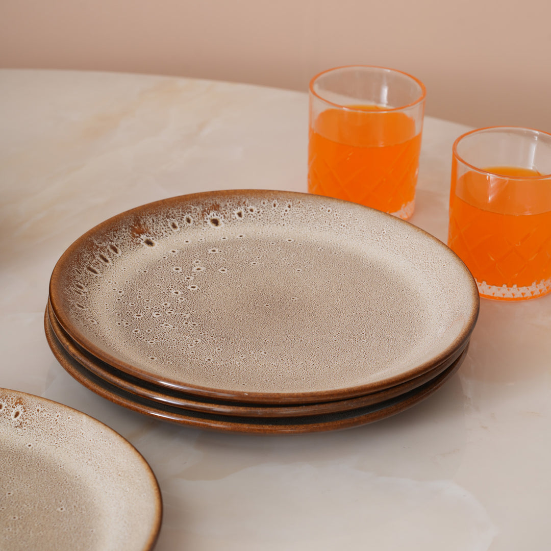 Rustic Earth Toned Ceramic Speckled Full Dinner Plate Set of 4