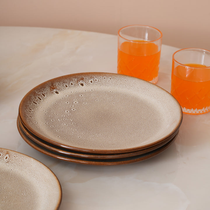 Rustic Earth Toned Ceramic Speckled Full Dinner Plate Set of 4