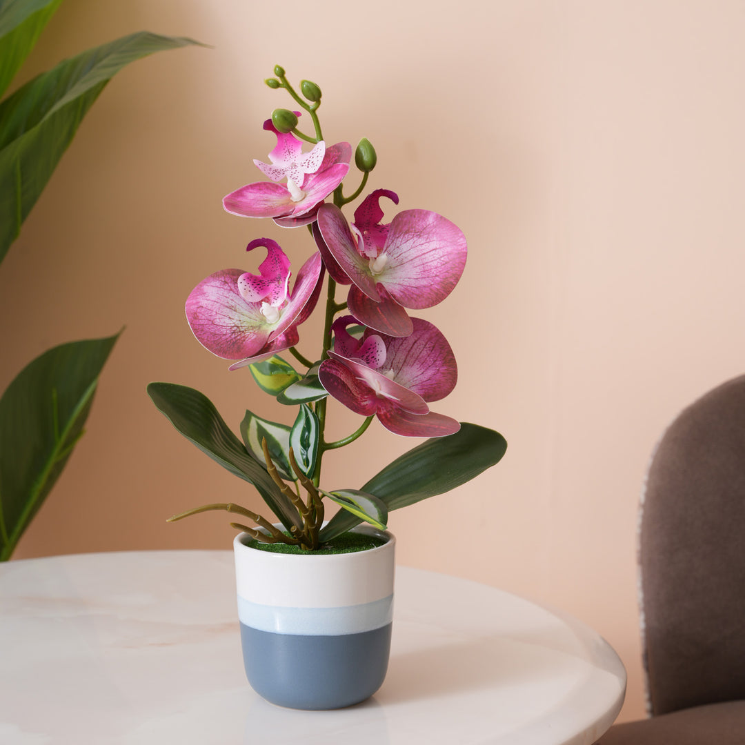Pink Orchid Arrangement with Two-Tone Grey Pot