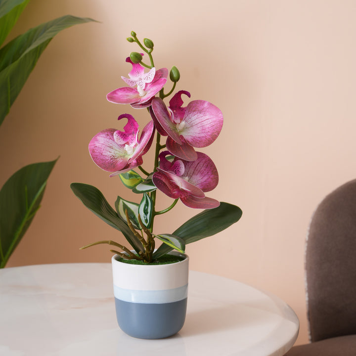 Pink Orchid Arrangement with Two-Tone Grey Pot