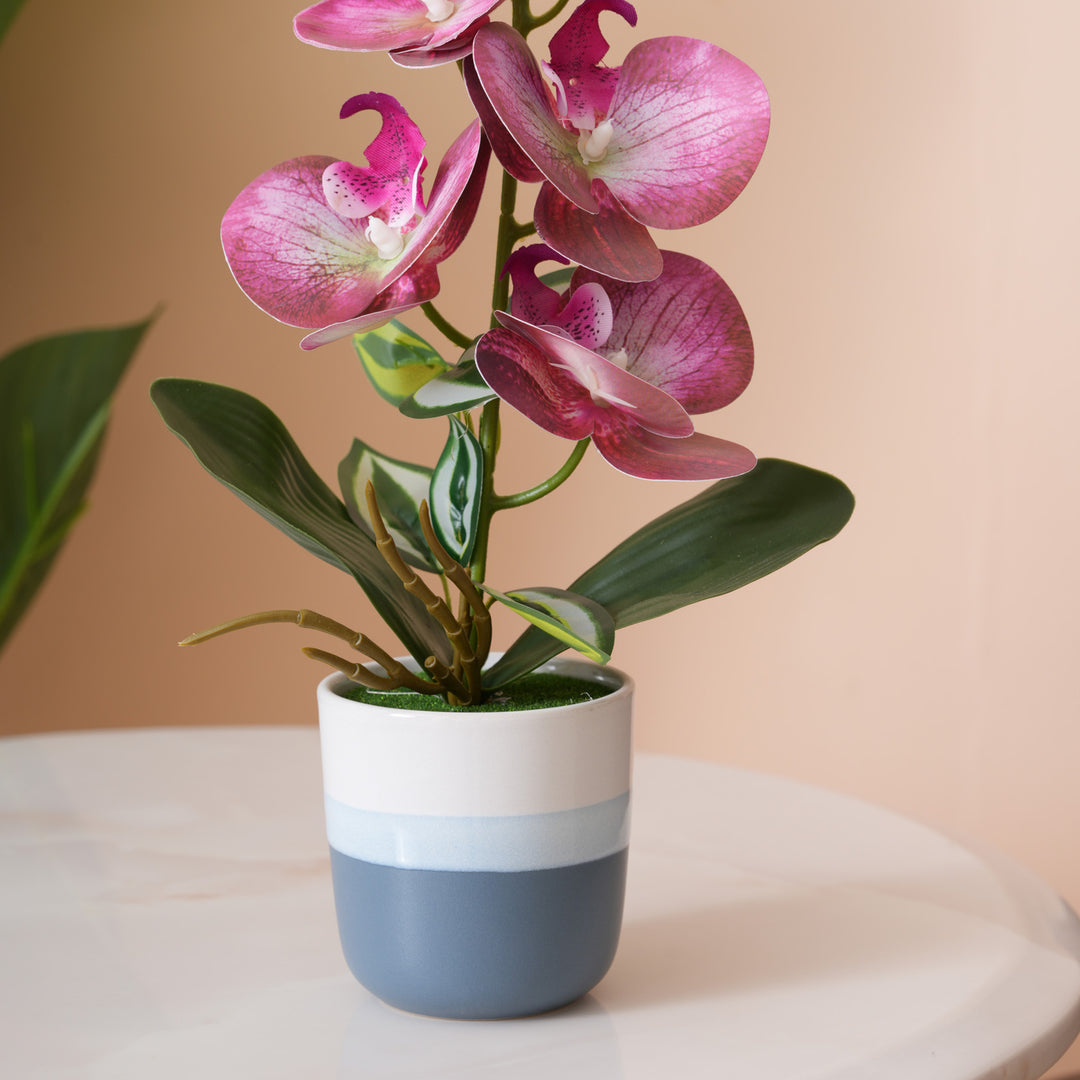 Pink Orchid Arrangement with Two-Tone Grey Pot