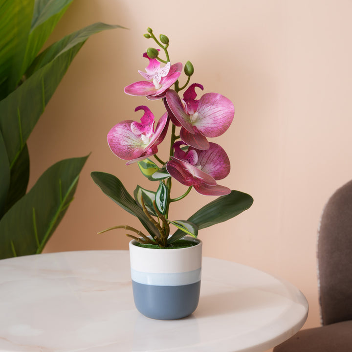 Pink Orchid Arrangement with Two-Tone Grey Pot