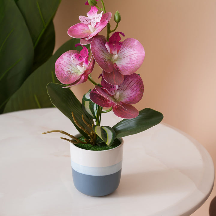 Pink Orchid Arrangement with Two-Tone Grey Pot