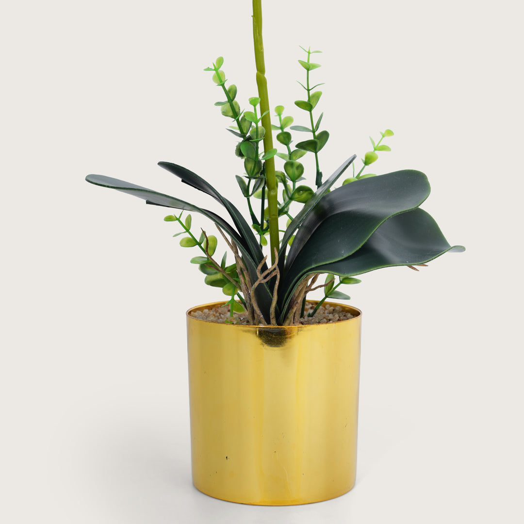 Artificial Red Plant with Golden Pot - Burgundy