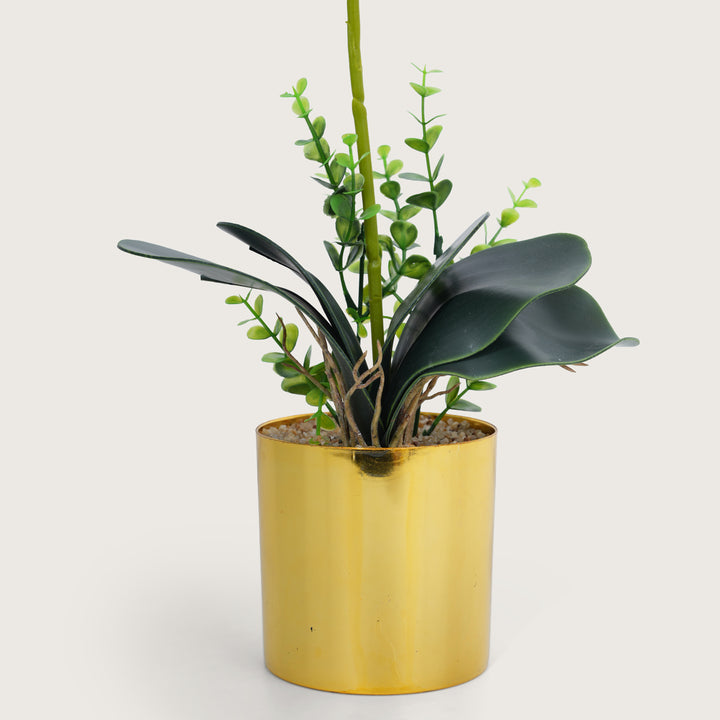 Artificial Red Plant with Golden Pot - Burgundy