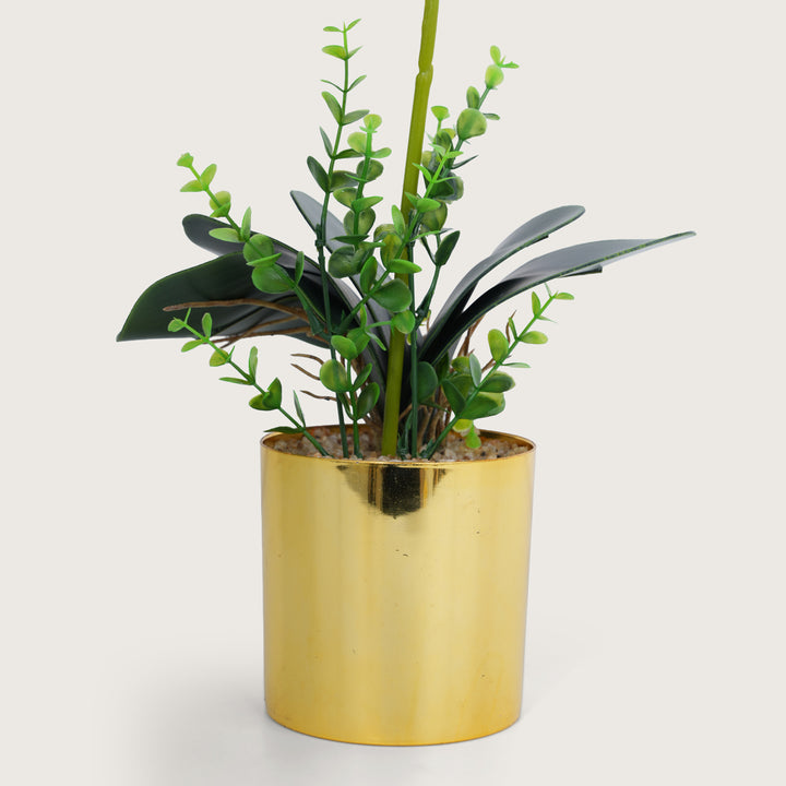 Artificial  Green Plant with Golden Pot - Green