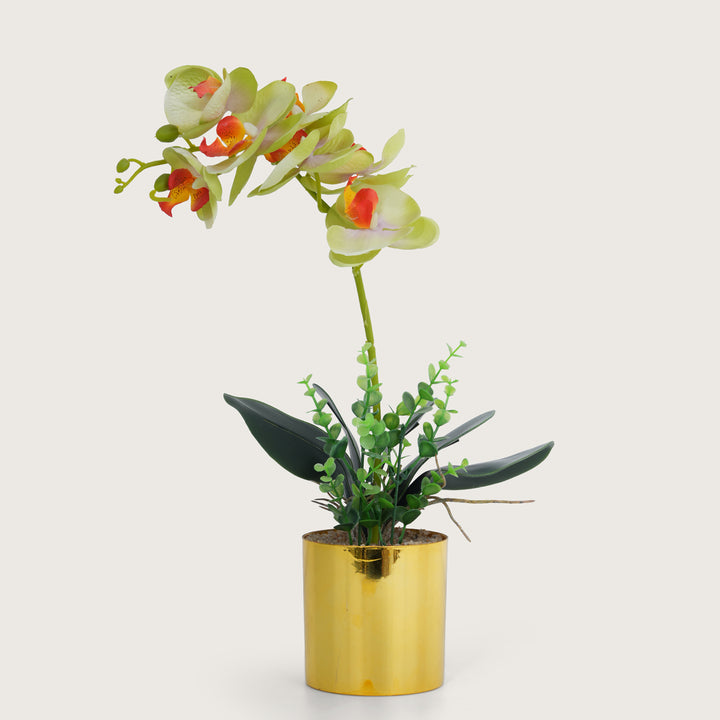 Artificial  Green Plant with Golden Pot - Green