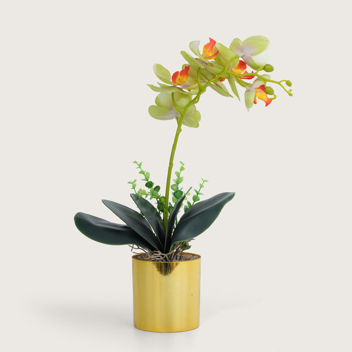 Artificial  Green Plant with Golden Pot - Green