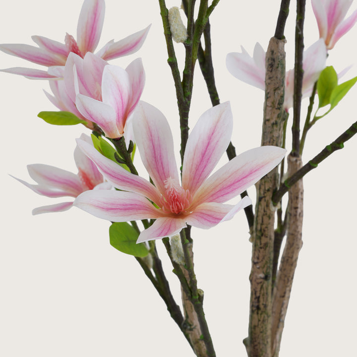 Artificial Slimline Blush-Pink Blossom Tree - Indoor Floor Plant