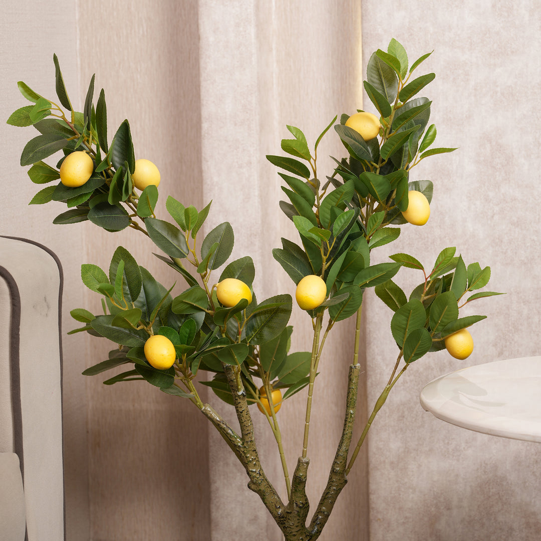 Lush Green Lemon Leaf Tree with Yellow Accents