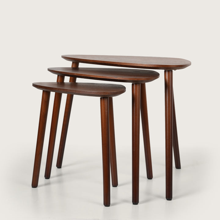 Modern Organic Shaped Nesting Table Set of 3