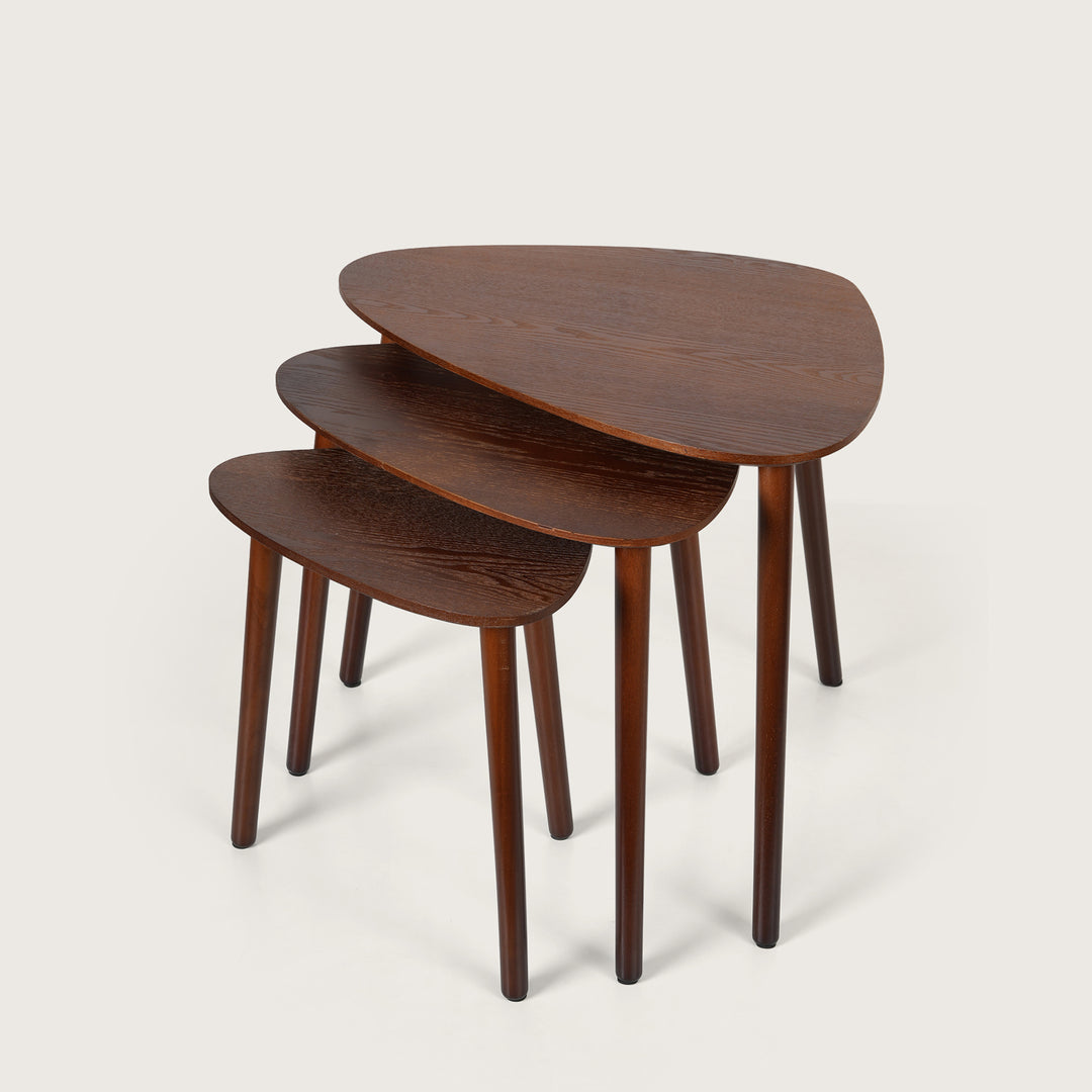 Modern Organic Shaped Nesting Table Set of 3