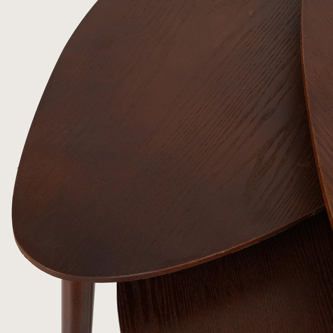 Modern Organic Shaped Nesting Table Set of 3