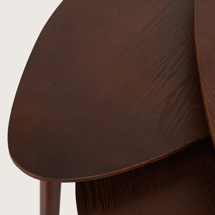 Modern Organic Shaped Nesting Table Set of 3