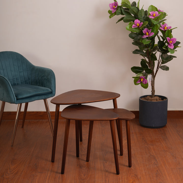 Modern Organic Shaped Nesting Table Set of 3