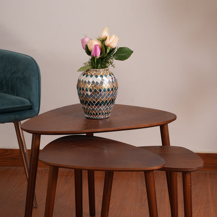 Modern Organic Shaped Nesting Table Set of 3