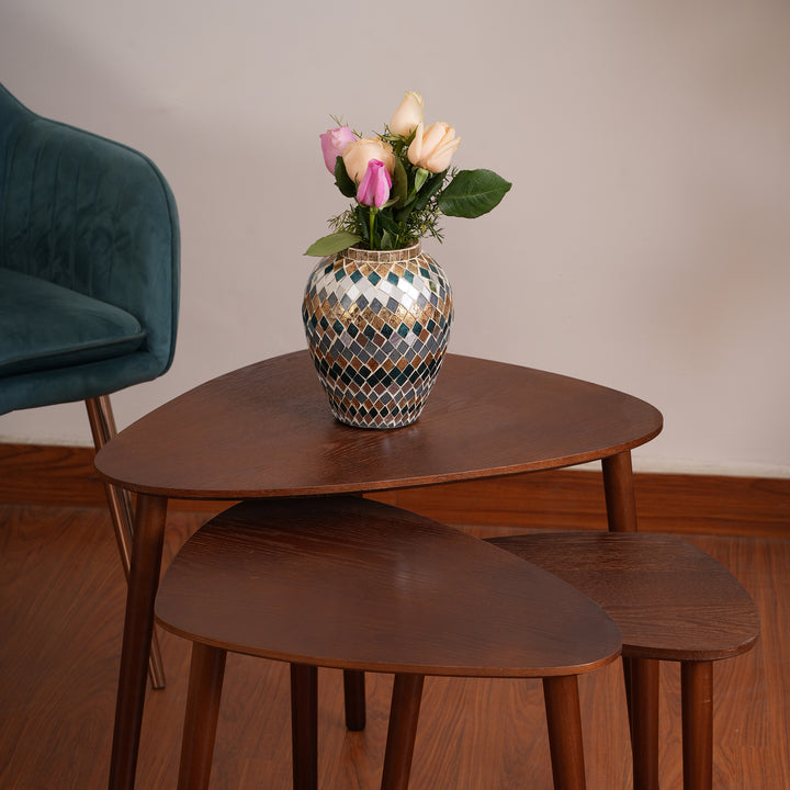 Modern Organic Shaped Nesting Table Set of 3