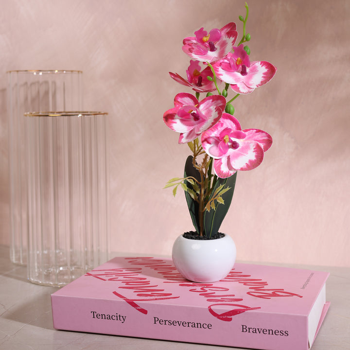 Orchid Artificial Flower Potted Plant - Pink and White