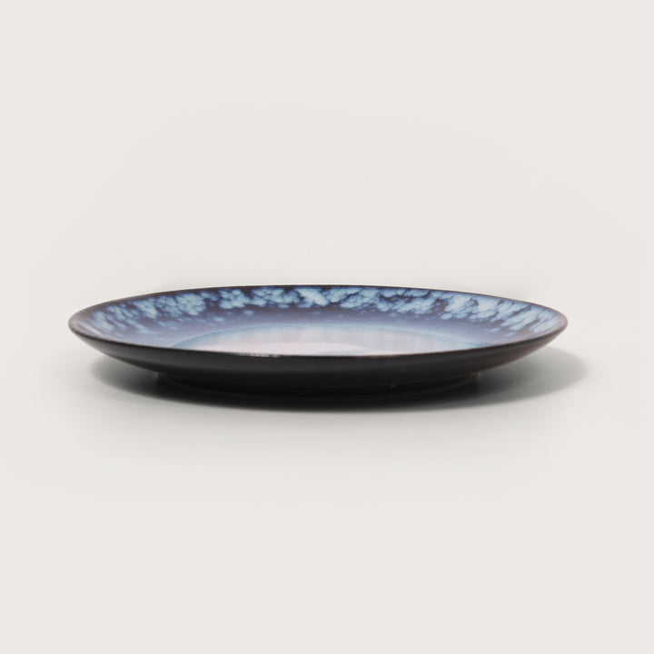 Ocean Dinner Plate