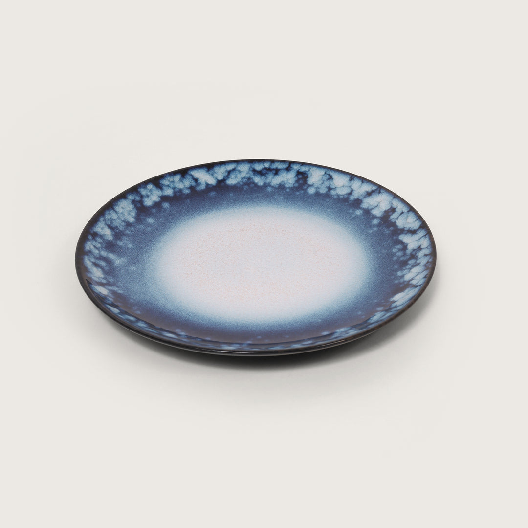 Ocean Dinner Plate