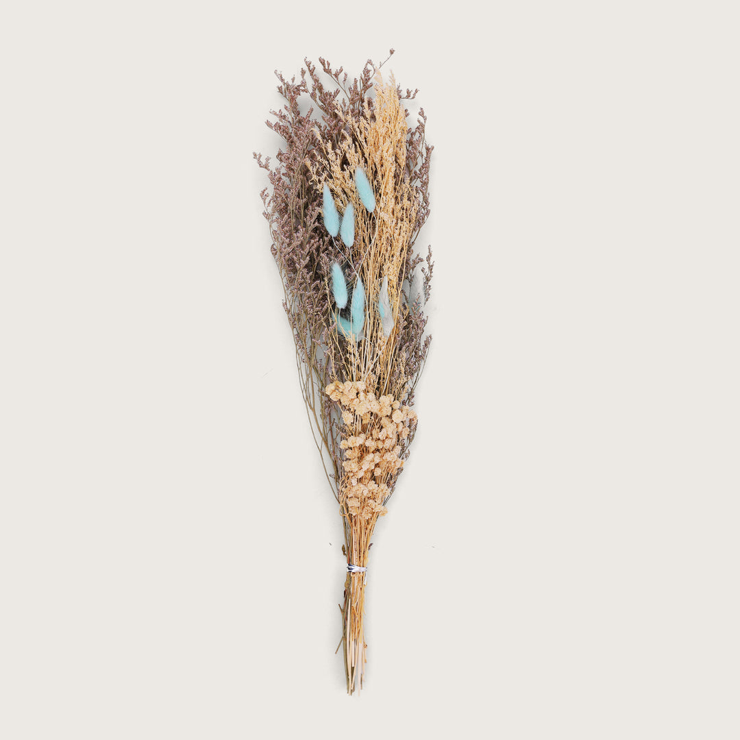 Botanical and Phalaris Dried Grass Sticks - Sky Blue