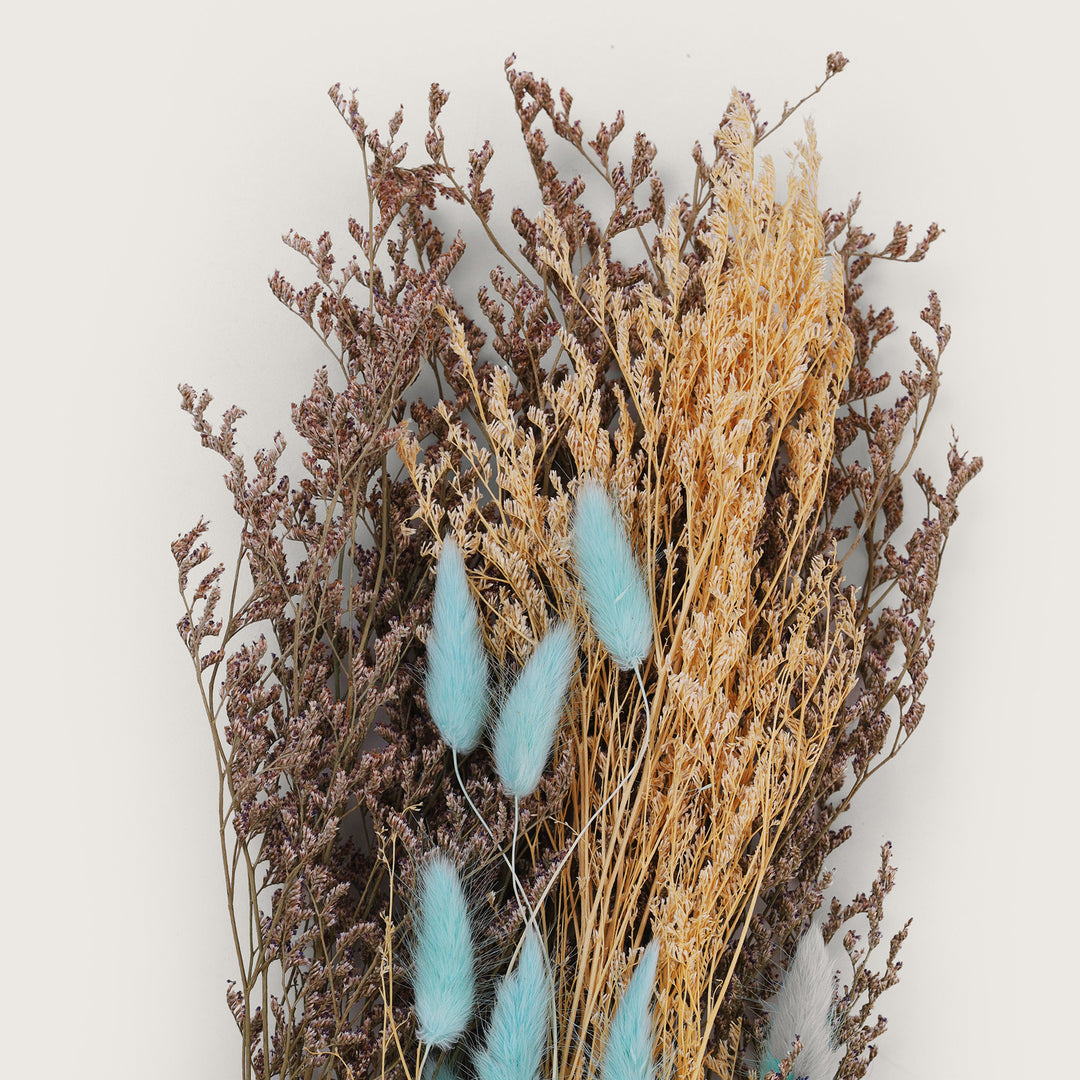 Botanical and Phalaris Dried Grass Sticks - Sky Blue