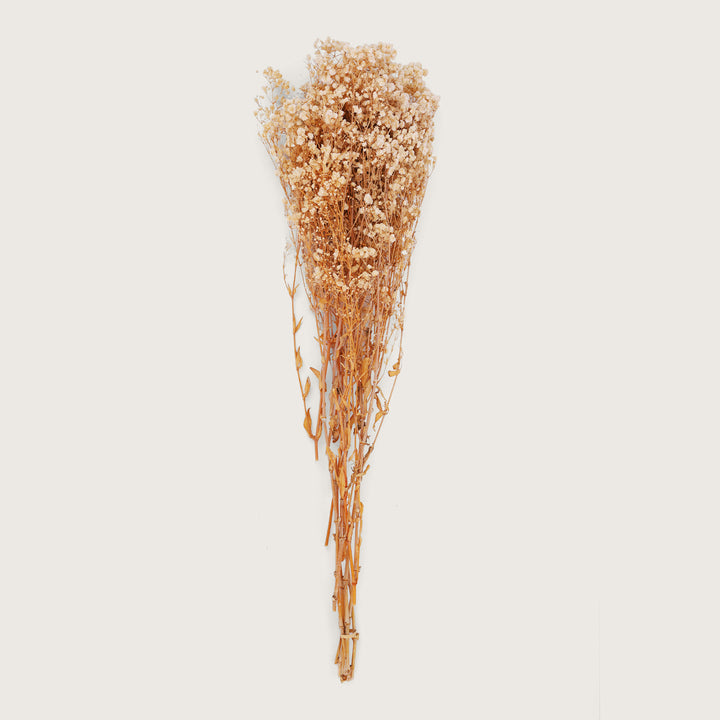 Buds Natural Dry Flower Sticks - Peach