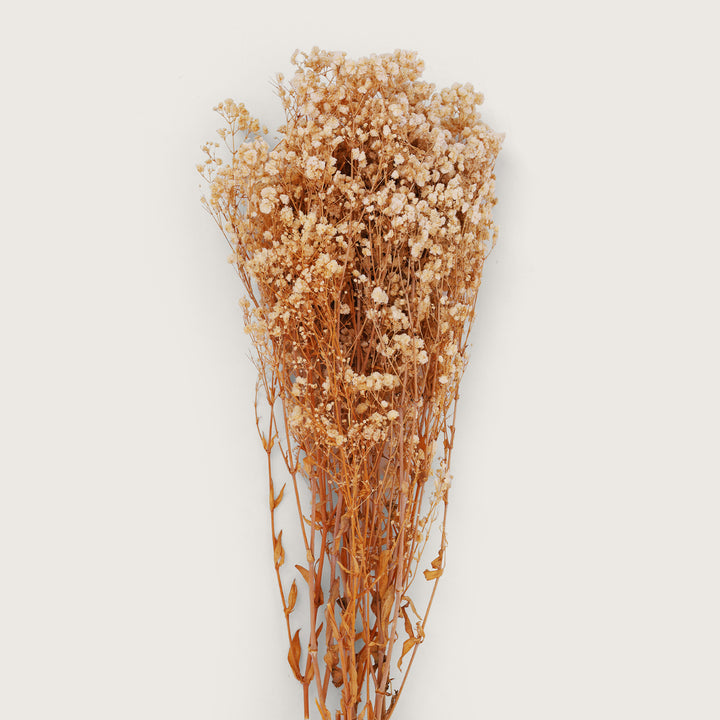 Buds Natural Dry Flower Sticks - Peach