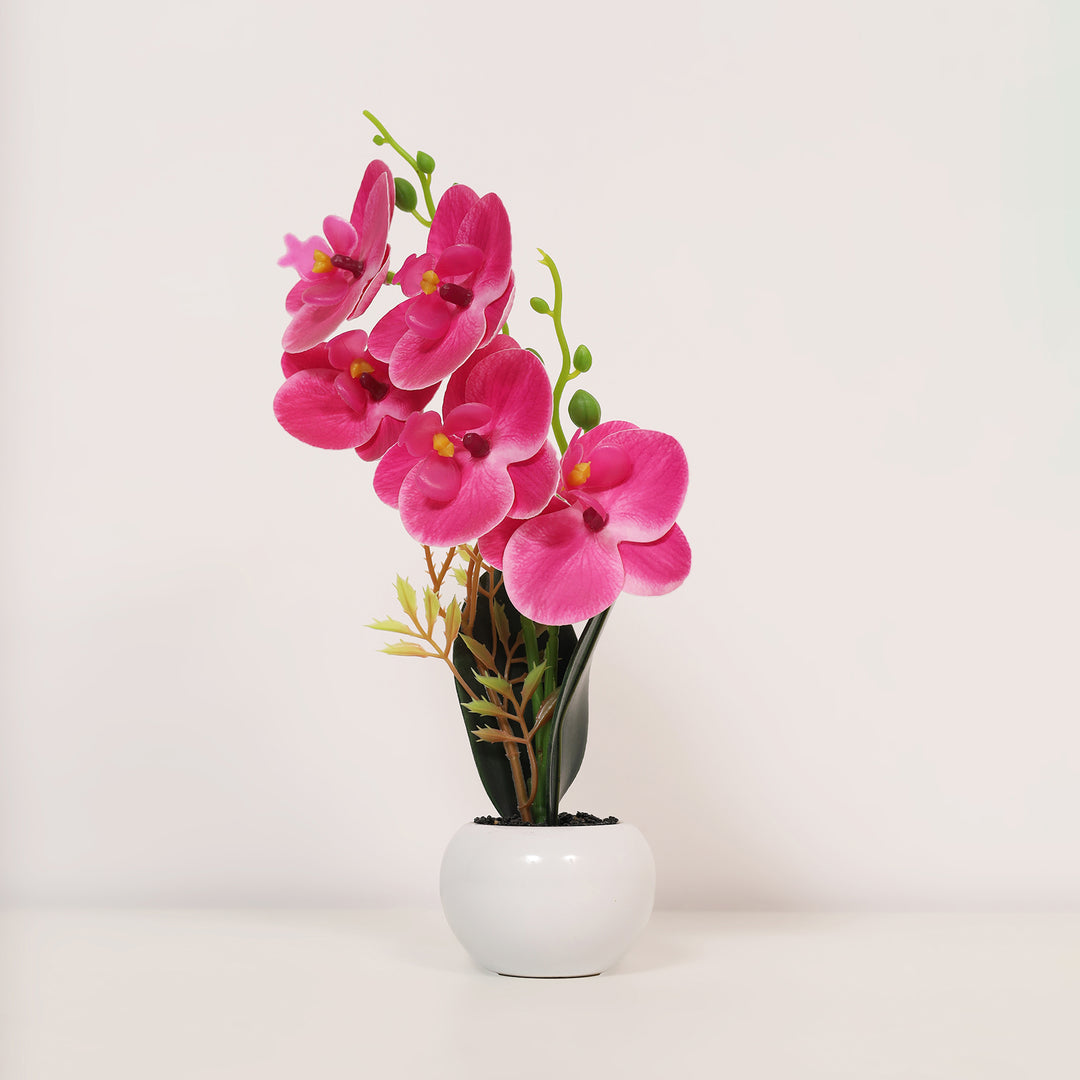 Orchid Artificial Flower Potted Plant - Pink